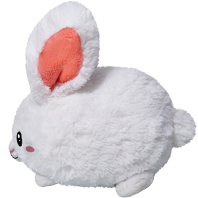 squishables bunny