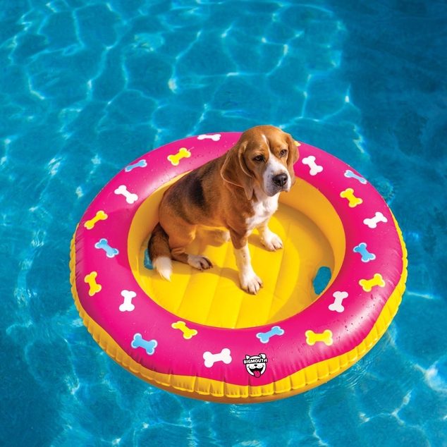 Donut Dog Float to Stortz Toys