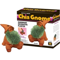 Chia Gnome