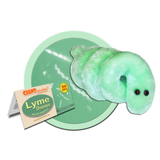 Lyme Disease