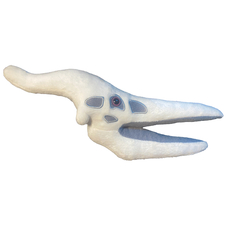 Pteranodon Skull