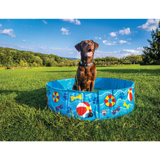 Patterned Hard Side Dog Pool