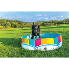 Rainbow Hard Side Dog Pool