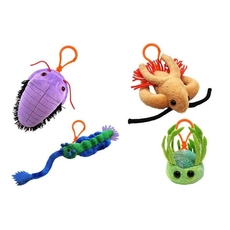Dino Creatures Pack
