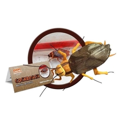 Cockroach