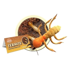 Termite