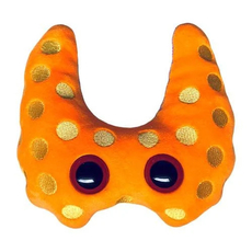 Graves Disease