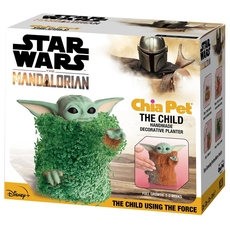 Chia The Child: Force Pose DENTED BOX