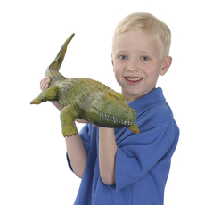 Ginormous Grow Crocodile