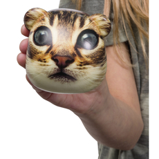 Catstronaut