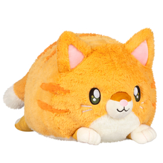 Squishable Kitty - Pre-order