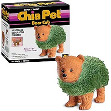 Chia Pet Bear Cub