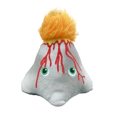 Volcano
