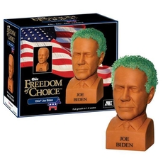 Chia Joe Biden