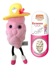 Estrogen