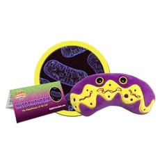 Mitochondria