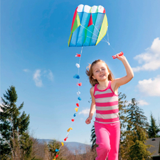 Parafoil Kite