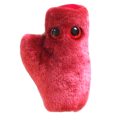 Heart Cell (with sound)