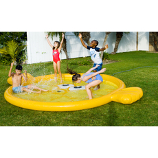 Pufferfish Splash Pad