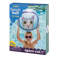 Beach Ball Space Cat