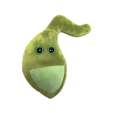 Gallbladder