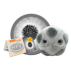 HPV