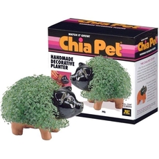 Chia Pig