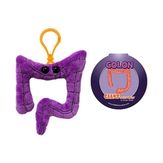 Colon key chain