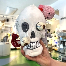 Deluxe Skull with minis