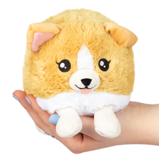 Snackers Baby Corgi (PRE-ORDER)