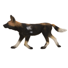 African Hunting Dog