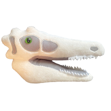 Velociraptor Skull