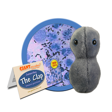 The Clap-Gonorrhea