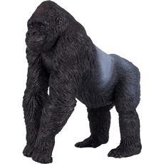 Gorilla Male Silverback