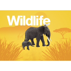 Mojo Wildlife Assortment