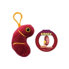 Kidney key chain