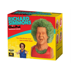 Chia Pet Richard Simmons