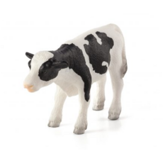 Holstein Calf standing