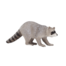 Raccoon