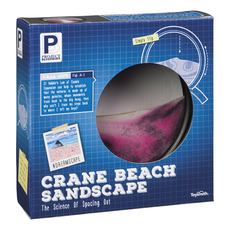Crane Beach Sandscape