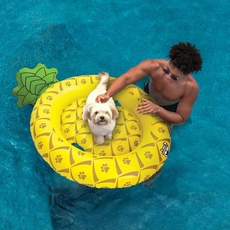 Pineapple Dog Float