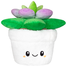 Squishable Succulent