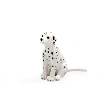 Dalmatian Puppy