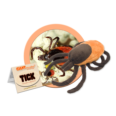 Tick