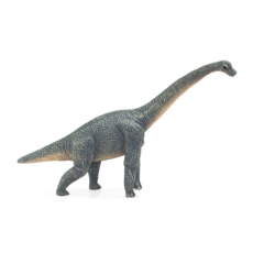 Brachiosaurus