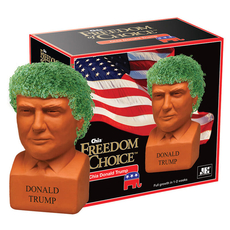 Chia Donald Trump