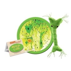 Nerve Cell key chain