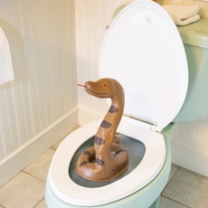 Snake Potty Prank