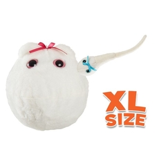 XL Egg with mini sperm