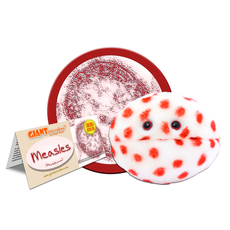 Measles